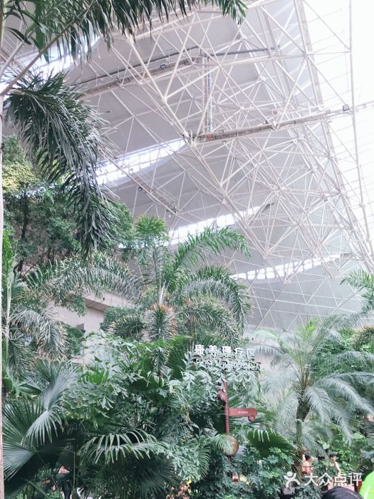 渔岛海洋度假区图片