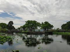 -无锡蠡湖国家湿地公园-蠡园