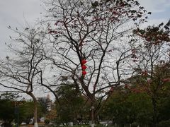 -三水森林公园