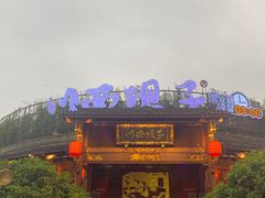 -川西坝子火锅(金沙1.0直营店)