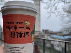 -茶颜悦色(岳麓山顶店)