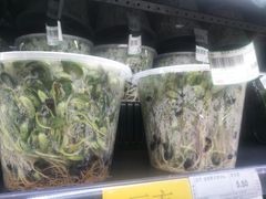 -京客隆超市(华安店)