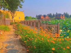 -军山湖云水间生态农业旅游景区