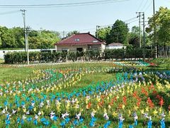 -上海长兴岛郊野公园