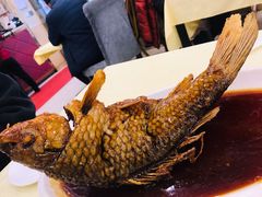 挣蹦鲤鱼-奥华餐厅·老张记(台基厂店)