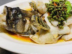 青花椒蒸龙胆鱼-闽和南(深圳万象城店)