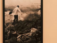 -深圳湾万象城(南山店)