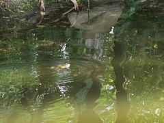 -苏州河梦清园环保主题公园