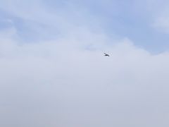景点-景山公园