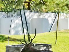 -龙华素斋(龙华路店)