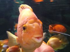 -福州罗源湾海洋世界旅游区