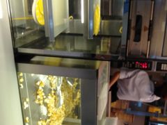 -椰小咖(亚龙湾东榕美食广场店)