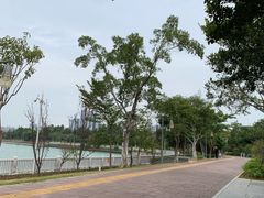 -五缘湾湿地公园