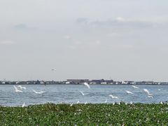 -阳澄湖半岛旅游度假区