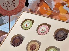 -Laderach 莱德拉(上海环贸iapm店)