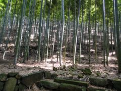 -众神白水涧景区