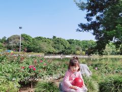 -东莞植物园