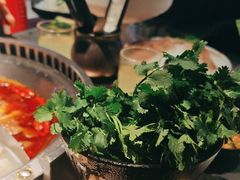 -辣伍鲜毛肚老火锅(元一店)