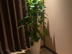 -淳SPA·精油按摩(蓝海御华大饭店)