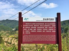-灵山景区梯田