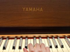 -Fujiyama Jeans & Tokyo No.18