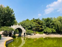 -团结湖公园