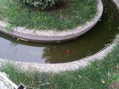 android_upload_pic-卫鼎轩·曹公馆(鼓楼店)