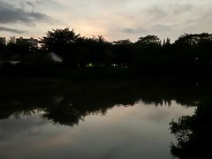 -大亚湾红树林城市湿地公园
