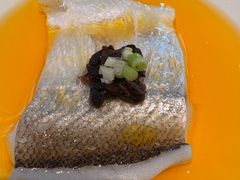 鸡油银丝翘嘴鱼-天然台1908(中建广场店)
