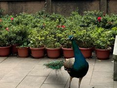 -乐山大佛风景名胜区乌尤寺南门-售票点