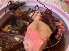 枸杞根嫩豆腐炖猪骨-粤北餐馆