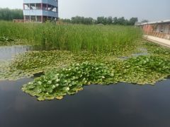 -河北村民俗体验园