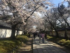 -醍醐寺