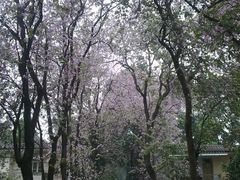 -广东外语外贸大学(白云山校区)