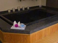 -春晖园度假酒店温泉