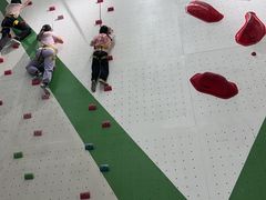 -绿壁虎攀岩基地(Tcar店)
