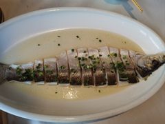 -绿杨春·淮扬宴(庐山路店)