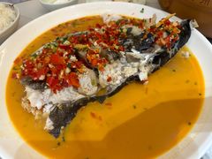 -全乐鱼馆·淳牌有机鱼直营店