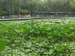 -刘家花园·柴火鸡·中餐酒楼·西昌烧烤(三圣乡店)