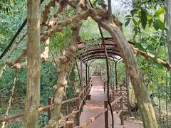 -中国科学院西双版纳热带植物园