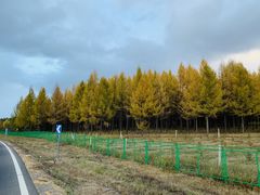 -塞罕坝国家级自然保护区