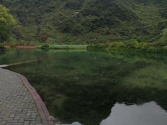 -靖西鹅泉风景区