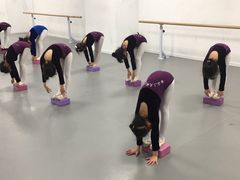 -西安小天鹅艺术团(金花路校区)