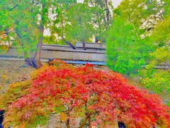 -香山公园