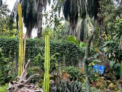 -中国科学院西双版纳热带植物园