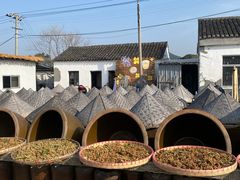 -苏州市吴中区光福窑上花果蜜饯厂