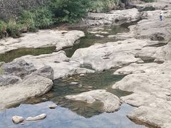 -新丰小吃(高沙店)