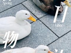-星巴克(深圳前海企业公馆店)