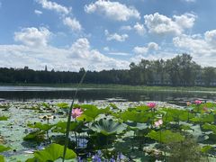 -长春市南湖公园