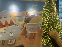 -Dal Cuore 达可芮冰淇淋(陕西北路店)